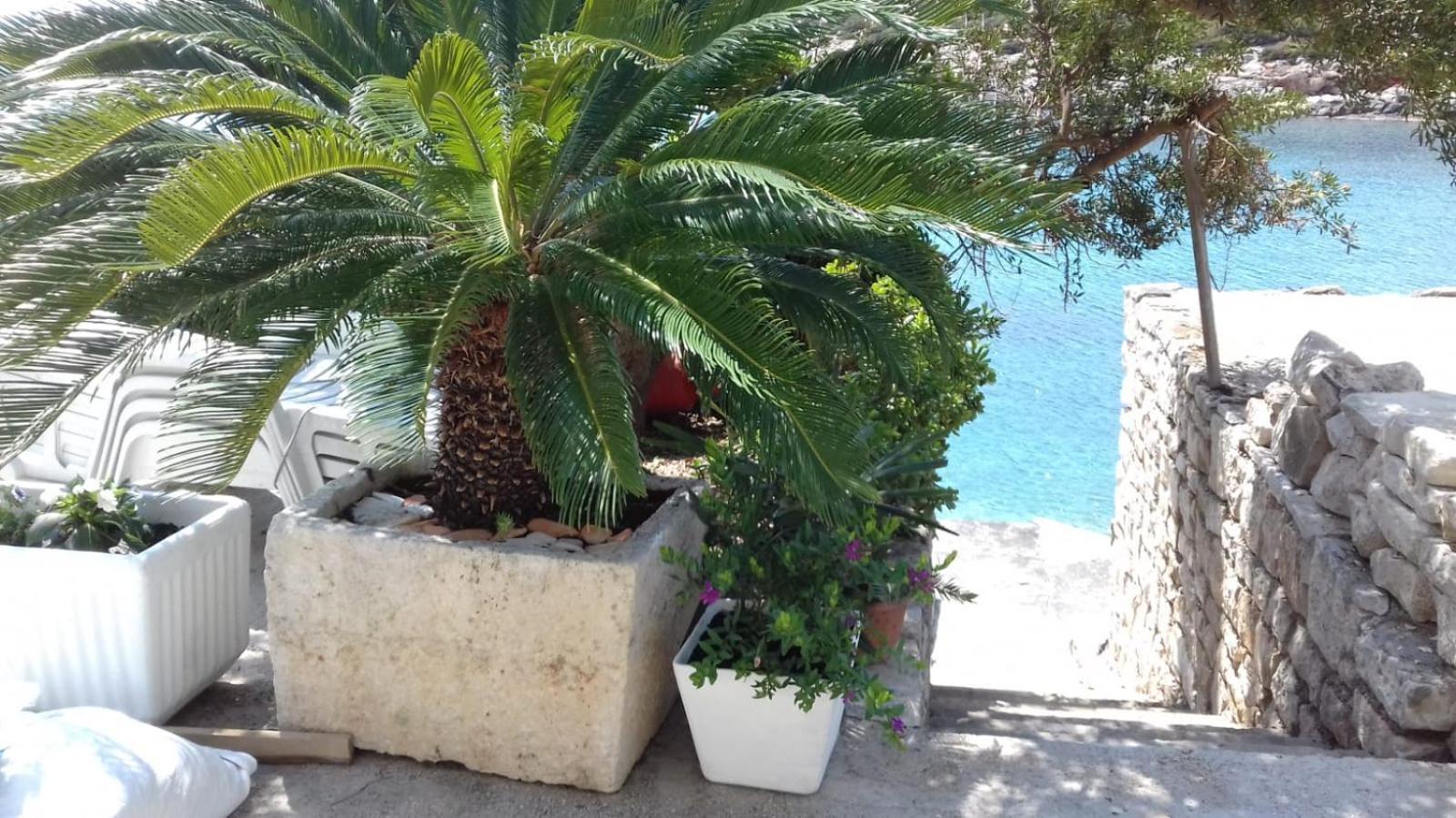 Apartmani Paulo Vis Exteriér fotografie
